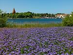 Landschaft - Family Oase - Top-Hundeurlaub