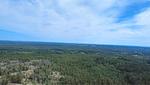 Natur und Wälder rund um das Ferienhaus Hus Långhult in Småland - Hus Långhult - Top-Hundeurlaub