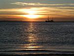 Whg. Surferbucht - Top-Hundeurlaub