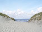 Whg. Surferbucht - Top-Hundeurlaub
