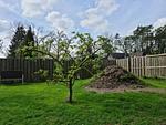 Ferienhaus Spunk - Das hundefreundliche Nurdachhaus mit blickdichtem 1,80 m hohem Zaun - Top-Hundeurlaub