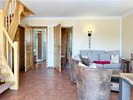 DHH Meeresstern - Top-Hundeurlaub