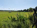 Landschaft - DHH Meeresstern - Top-Hundeurlaub