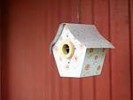 Fassade / Eingang - (BIR16) Ferienhaus Villa Bullerbü - Top-Hundeurlaub