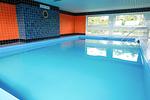 Pool - (ROD32d) Ferienwohnung "Schmidt" - Top-Hundeurlaub