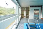 Pool - (ROD32d) Ferienwohnung "Schmidt" - Top-Hundeurlaub
