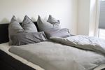 Nordsee Park SK 35 Seeadler 1 - Top-Hundeurlaub