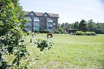 Landschaft - FeWo 6 - Top-Hundeurlaub