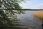 Ferienhaus in Canow am Labussee - Top-Hundeurlaub