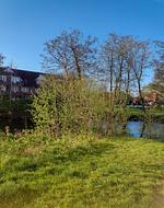 Terrasse - Meerglück (50.0.M) - Top-Hundeurlaub