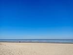 Strand - Meerglück (50.0.M) - Top-Hundeurlaub
