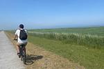 Radfahren am Meer entlang - Meerglück (50.0.M) - Top-Hundeurlaub