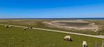 Strand - Meerglück (50.0.M) - Top-Hundeurlaub