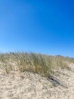 Strandmomente - Meerglück (50.0.M) - Top-Hundeurlaub