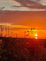 Sonnenuntergang direkt am Strand - Meerglück (50.0.M) - Top-Hundeurlaub