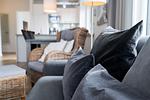Wohnzimmer - B-09 - Top-Hundeurlaub