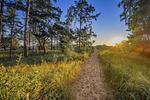 Landschaft - Villa Seeland App. 08 nur 100 Meter zum Strand - Top-Hundeurlaub