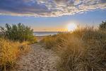Strand - Villa Seeland App. 08 nur 100 Meter zum Strand - Top-Hundeurlaub