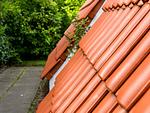 Dekoratives Detail - Haus Leevje - Top-Hundeurlaub
