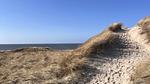 image/jpeg - Ferienhaus für 6 Personen (92 m²) in Løkken - Top-Hundeurlaub