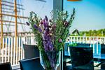 1. Dachterrasse - Promenadenvilla 03 Wohnung 10 - Top-Hundeurlaub