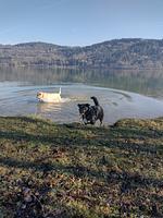 Landhaus NEPO - Top-Hundeurlaub