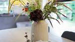 other - Ferienhaus für 8 Personen (90 m²) in Væggerløse - Top-Hundeurlaub