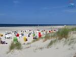 Strand - 220 - Wohnung kleine Kajüte - Top-Hundeurlaub