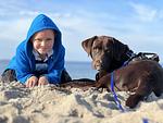 Strand - Ferienhaus an der Au - Top-Hundeurlaub