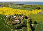 Klüterkammer am Meer - in Rapsblüte - Klüterkammer - Top-Hundeurlaub
