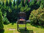 BS2_Harzhub Braunlage_Grill im Garten - HarzHub Braunlage - Top-Hundeurlaub