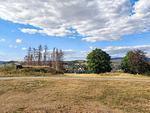 BS2_Harzhub Braunlage_Wanderungen - HarzHub Braunlage - Top-Hundeurlaub