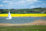 Fischlaeger - Top-Hundeurlaub