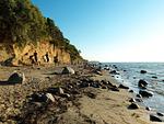 Strand - Ostseeoase - Top-Hundeurlaub