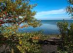 Nachbarschaft - Strandglück - Top-Hundeurlaub