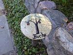 Willkommen im Ferienappartment Buche - UG-Buche - Top-Hundeurlaub
