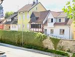 Landschaft - Ferienwohnung Inselwohnung - Top-Hundeurlaub