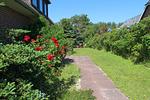 Garten - Im Grund 9 - App. 1 - Top-Hundeurlaub