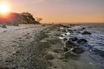 Strand - Heimathafen Fehmarn - Top-Hundeurlaub
