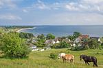 Landschaft - FeWo28-7: strandnah,Balkon,Sauna,Pool - Top-Hundeurlaub