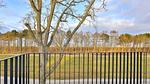 Landschaft - Strandhaus Apartment 14 - Top-Hundeurlaub