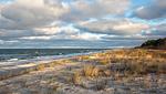 Strand - Strandhaus Apartment 15 - Top-Hundeurlaub