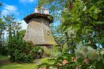Gartenblick - Darßer Mühle - Top-Hundeurlaub
