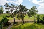 Landschaft - Haus Dinis - Top-Hundeurlaub