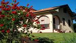 exterior - Ferienhaus für 5 Personen (90 m²) in Montescudaio - Top-Hundeurlaub