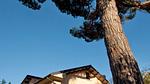 exterior - Ferienhaus für 5 Personen (90 m²) in Montescudaio - Top-Hundeurlaub