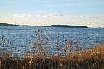 Strand - Strandburg - Top-Hundeurlaub