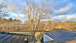 Landschaft - Strandhaus Penthouse (Seeblick) - Top-Hundeurlaub