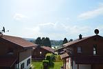 Landschaft - Alpenrose - Feriendorf Via Claudia Haus 53 - Top-Hundeurlaub