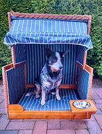 Terrasse - Friesendrööm - Top-Hundeurlaub